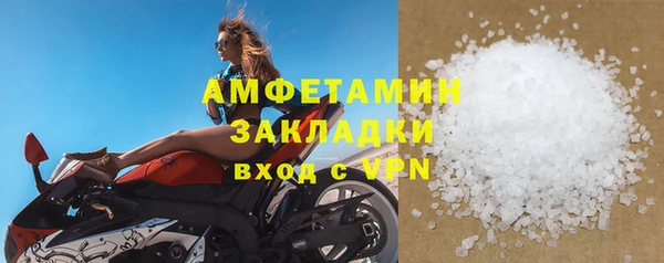 прущие грибы Заволжск