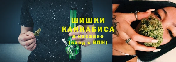 дмт Заводоуковск