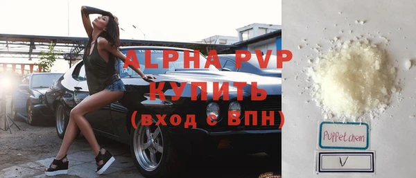 прущие грибы Заволжск