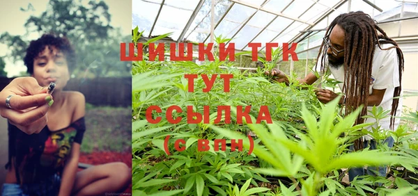 дмт Заводоуковск