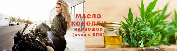 дмт Заводоуковск