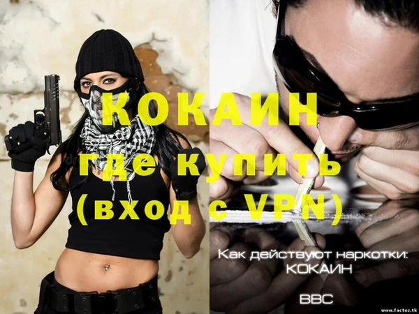 прущие грибы Заволжск