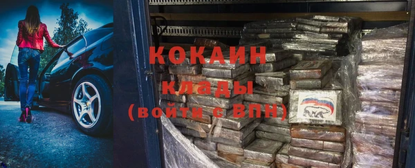 прущие грибы Заволжск
