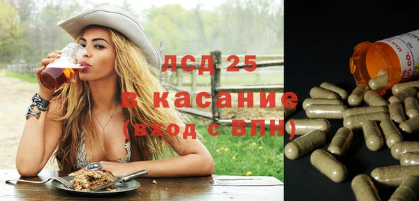 прущие грибы Заволжск