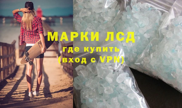 прущие грибы Заволжск