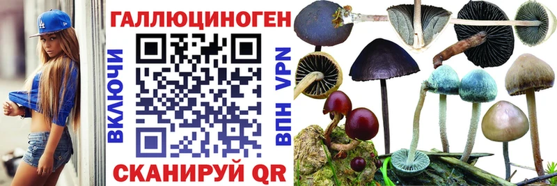 Псилоцибиновые грибы прущие грибы  мориарти официальный сайт  Нефтекамск 